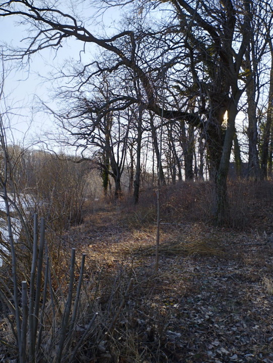 SUPER OCAZIE SE VINDE TEREN DE IN SNAGOV CU DESCHIDERE LA LACUL SNAGOV