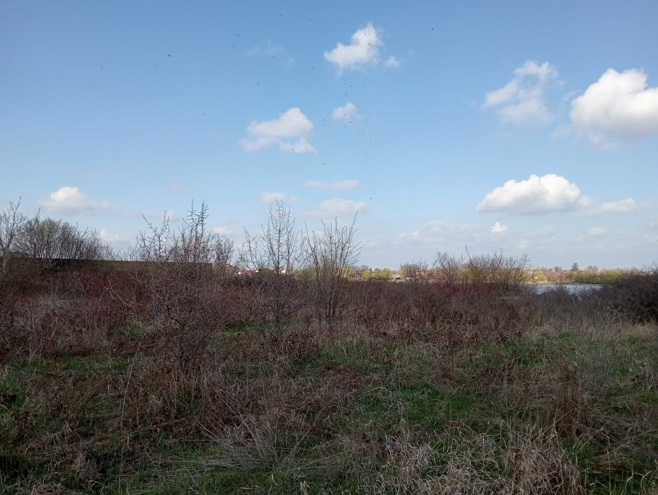 SUPER OCAZIE SE VINDE TEREN CU DESCHIDRE LA LAC