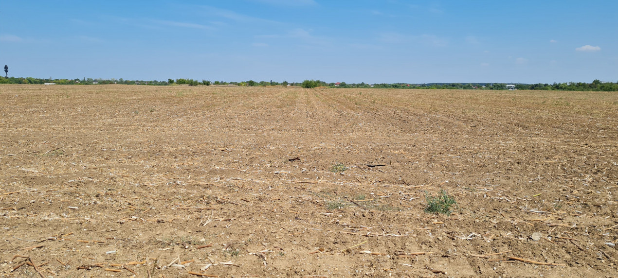 Teren investitie Buftea cu deschidere la lacul Buciumeni