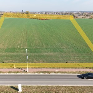 Teren investitie Buftea cu deschidere la lacul Buciumeni