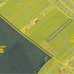 FRUMUSANI-ORASTI LOT 7630 MP