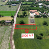 DASCALU-CREATA Lot 1000 MP