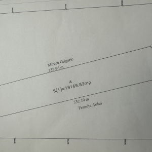 DASCALU Lot 19.170 MP