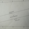 DASCALU Lot 19.170 MP