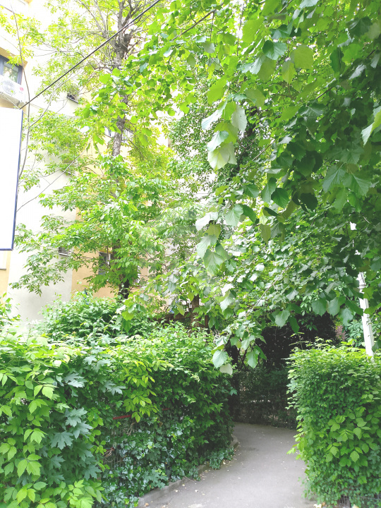 EXCLUSIVITATE_IANCULUI_Apartament 4 cam decomandat
