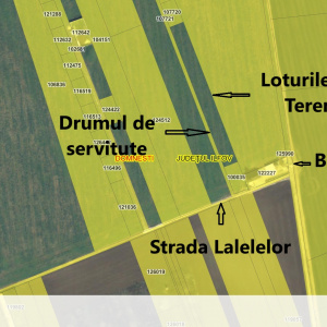Domnesti teren intravilan