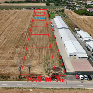 CIOLPANI Lot 500 MP