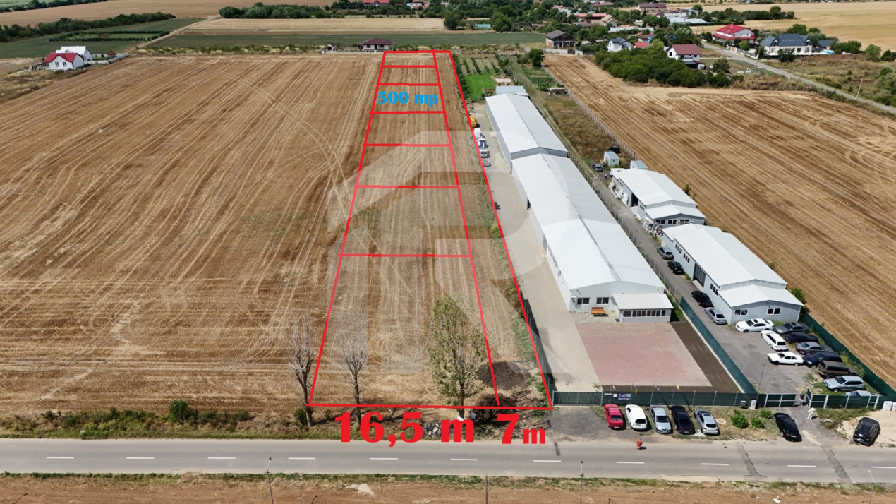 CIOLPANI Lot 500 MP