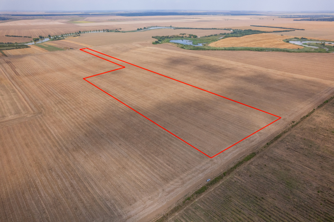 FRUMUSANI - PASAREA, TEREN 14420 MP, FRONT 40 M! 