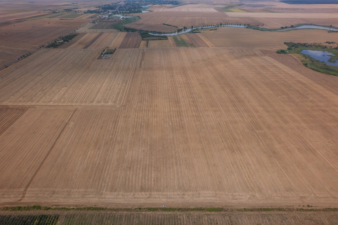 FRUMUSANI - PASAREA, TEREN 14420 MP, FRONT 40 M! 