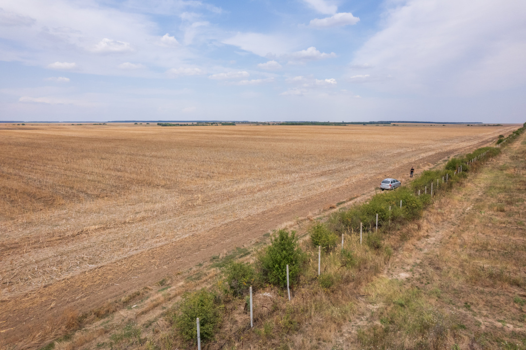 FRUMUSANI - PASAREA, TEREN 14420 MP, FRONT 40 M! 