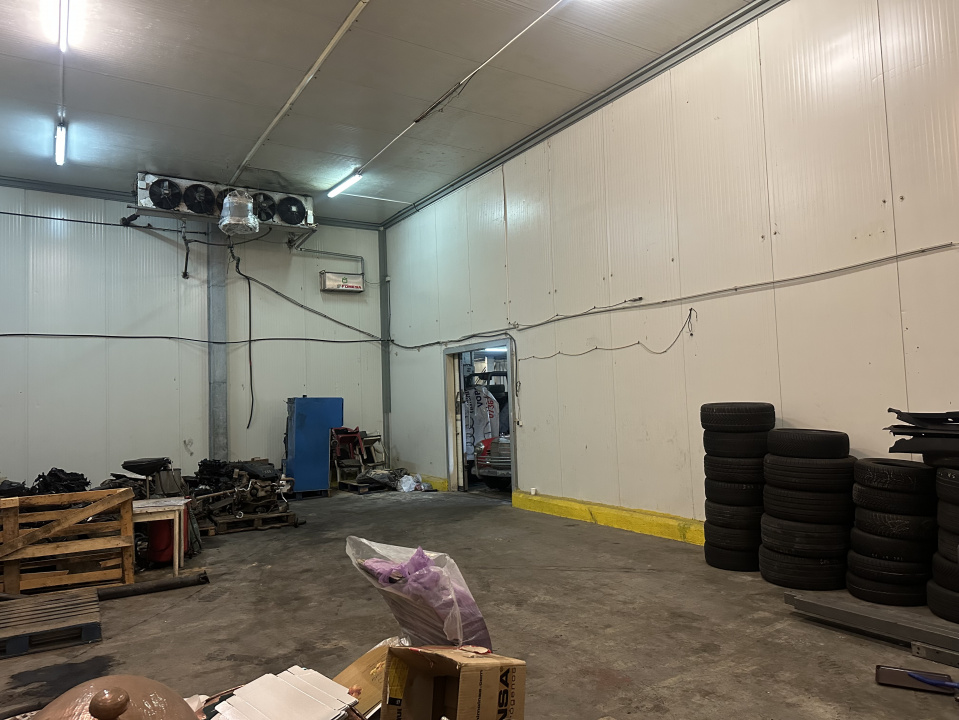 VOLUNTARI, HALA 250 MP!