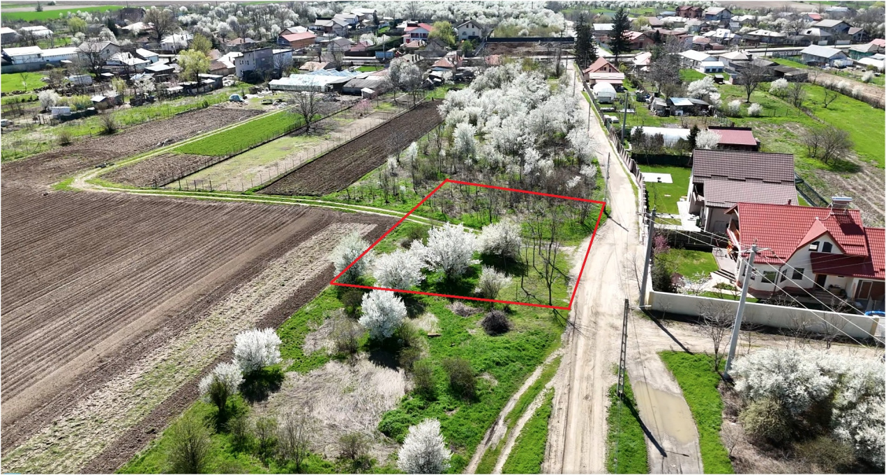 Tartasesti, lot 801 mp!