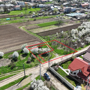 TARTASESTI, LOT 801 MP!