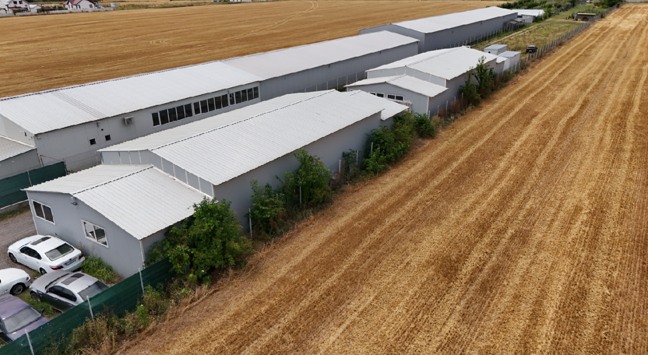 CIOLPANI, LOT 5.000 MP, HALE INDUSTRIALE!