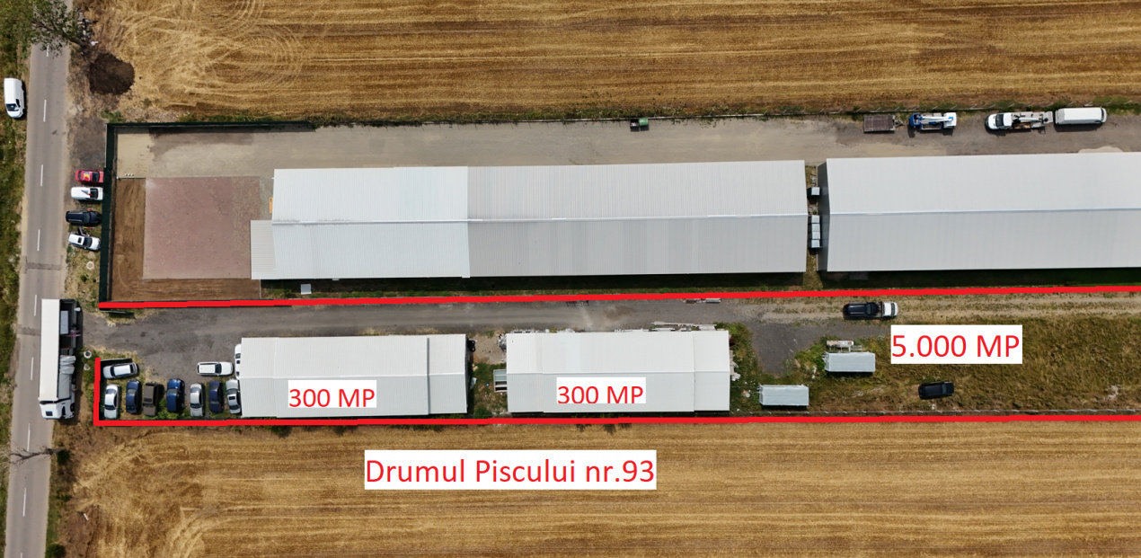 CIOLPANI, LOT 5.000 MP, HALE INDUSTRIALE!