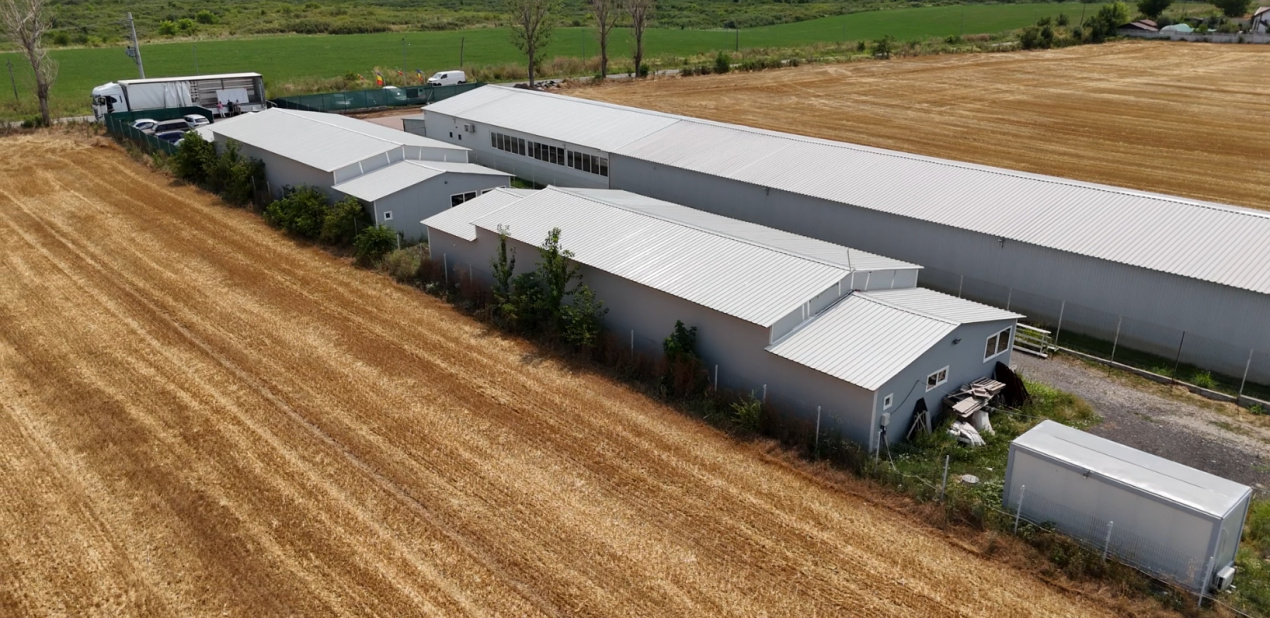 CIOLPANI, LOT 5.000 MP, HALE INDUSTRIALE!