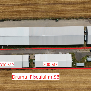 CIOLPANI, LOT 5.000 MP, HALE INDUSTRIALE!