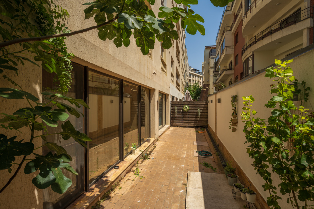 Apartament 3 camere superb si curte proprie Parc Herastrau