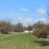 Teren intravilan Măgurele langa padurea Cornetu si Arges