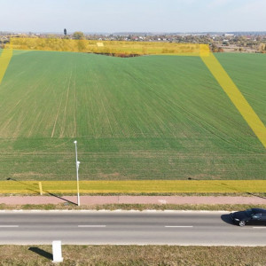 Teren pentru proiect de case in Buftea, cu deschidere la lacul Buciumeni