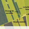 Domnesti teren intravilan