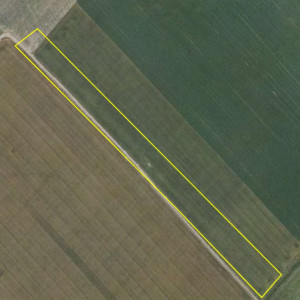 Teren de vânzare – 25.000 mp, Pantelimon, între cele două centuri ale Capitalei 