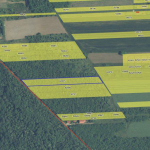 `Teren cu dubla deschidere, langa padure, Snagov - Strada Parcului 