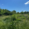 Teren Snagov – Ideal pentru dezvoltare rezidențială sau investiție!
