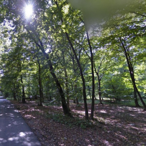 Teren cu deschidere la Padurea Snagov- Gruiu 