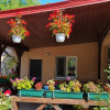 Vila P+E de vanzare, teren 1.132mp, Piscu, Ciolpani, dubla deschidere