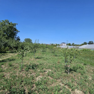 Teren de vanzare in Jilava, Ilfov
