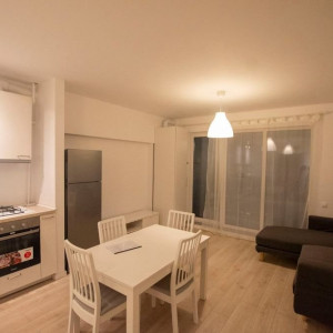 Inchiriere apartament nou 2 camere NEW POINT -PIPERA