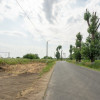 Teren Cernica,pentru Dezvoltare Rezidențială sau Industriala 