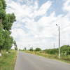Teren Cernica,pentru Dezvoltare Rezidențială sau Industriala 