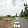 Teren Cernica,pentru Dezvoltare Rezidențială sau Industriala 