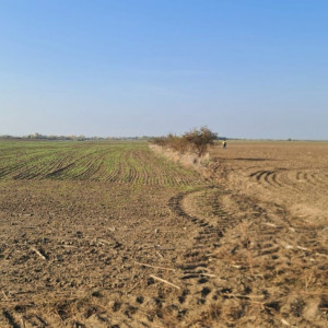 Teren intravilan de vânzare - zona industriala Domnești/A1