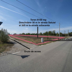 Teren 6000mp*Domnesti*Salciei-Haltei-Ciocarliei*Drum asfaltat cu utilitati