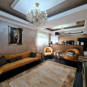 Vila Exclusivista - Berceni