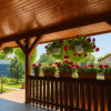 Casă solidă, complet renovată, cu terasă generoasă – Bolintin Vale